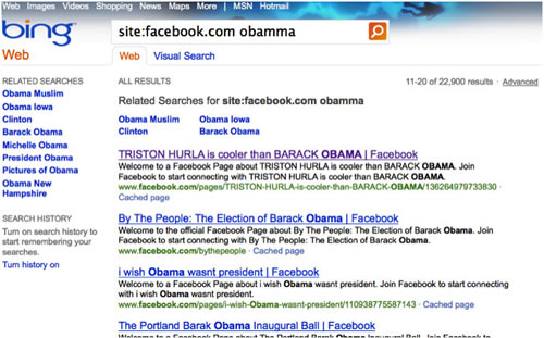 Bing site search of Facebook for Obama terms results